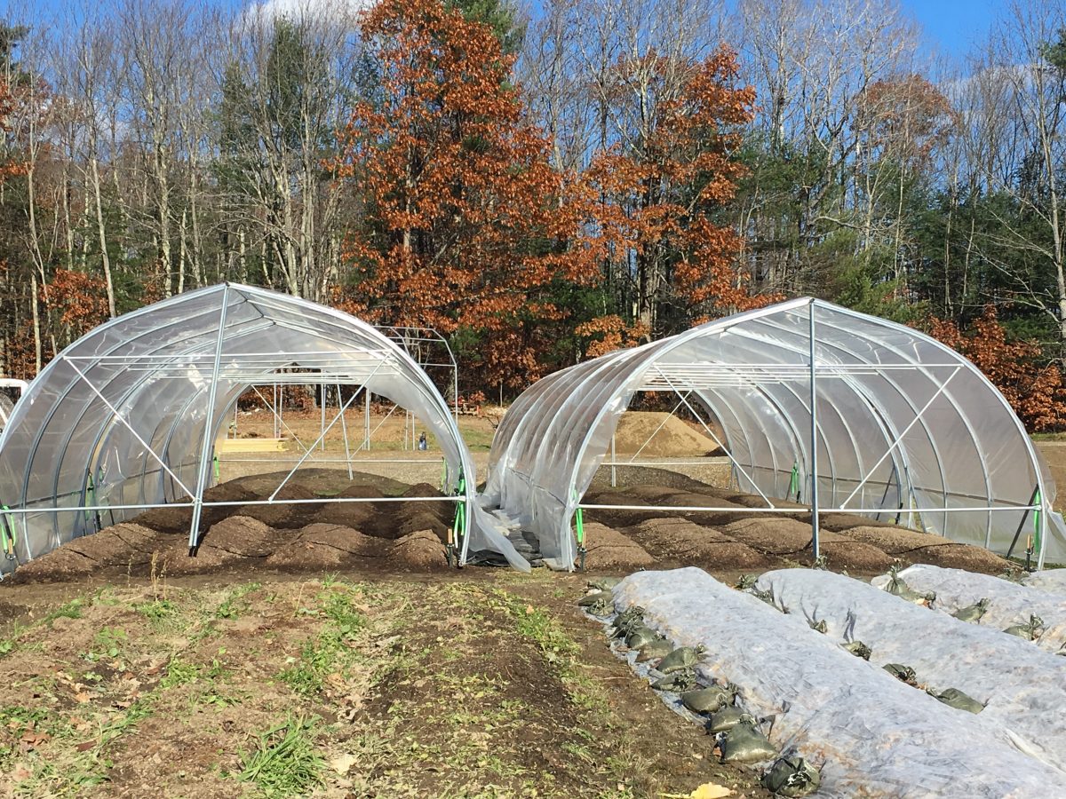 Two New Hoop Houses Completed! Growing to Give