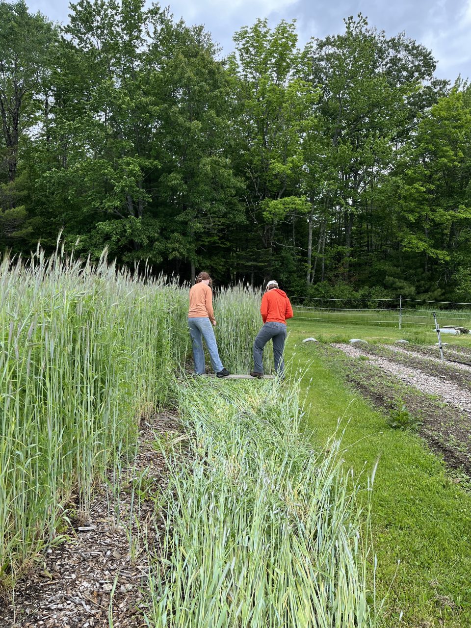 230607_Genevieve_Vol_Crimp_1177