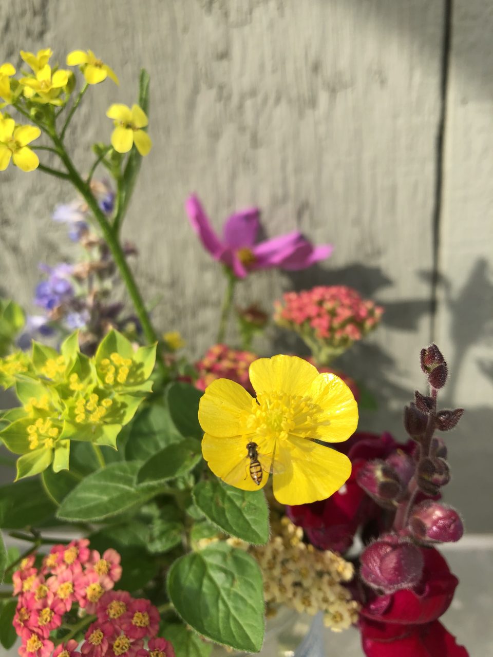 250711_Native_Bee_Bouquet