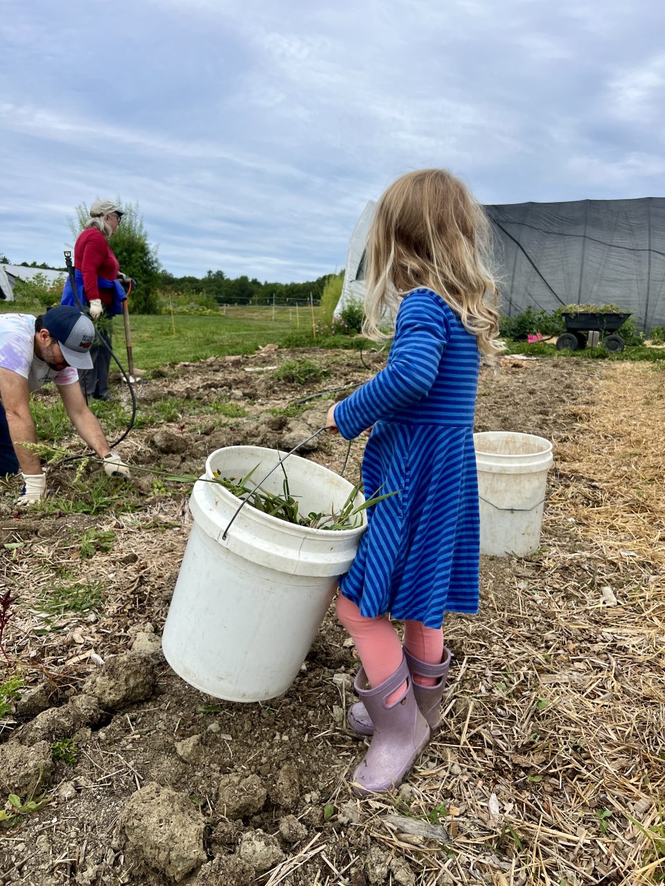 250818_Little_With_Bucket_GREAT-APPROVED (1)